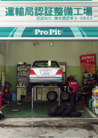 Pro Pit